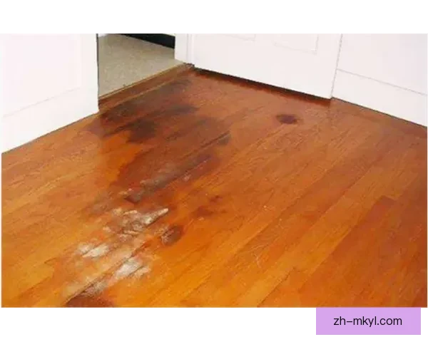 地板渗水致吉晋战延迟一小时开赛